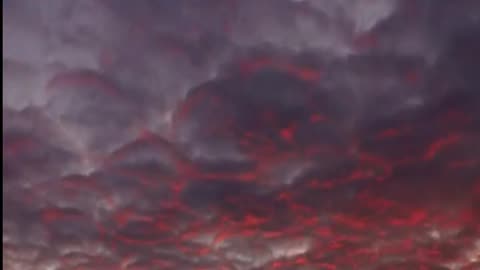 Daily Horoscope | Gemini 🌟