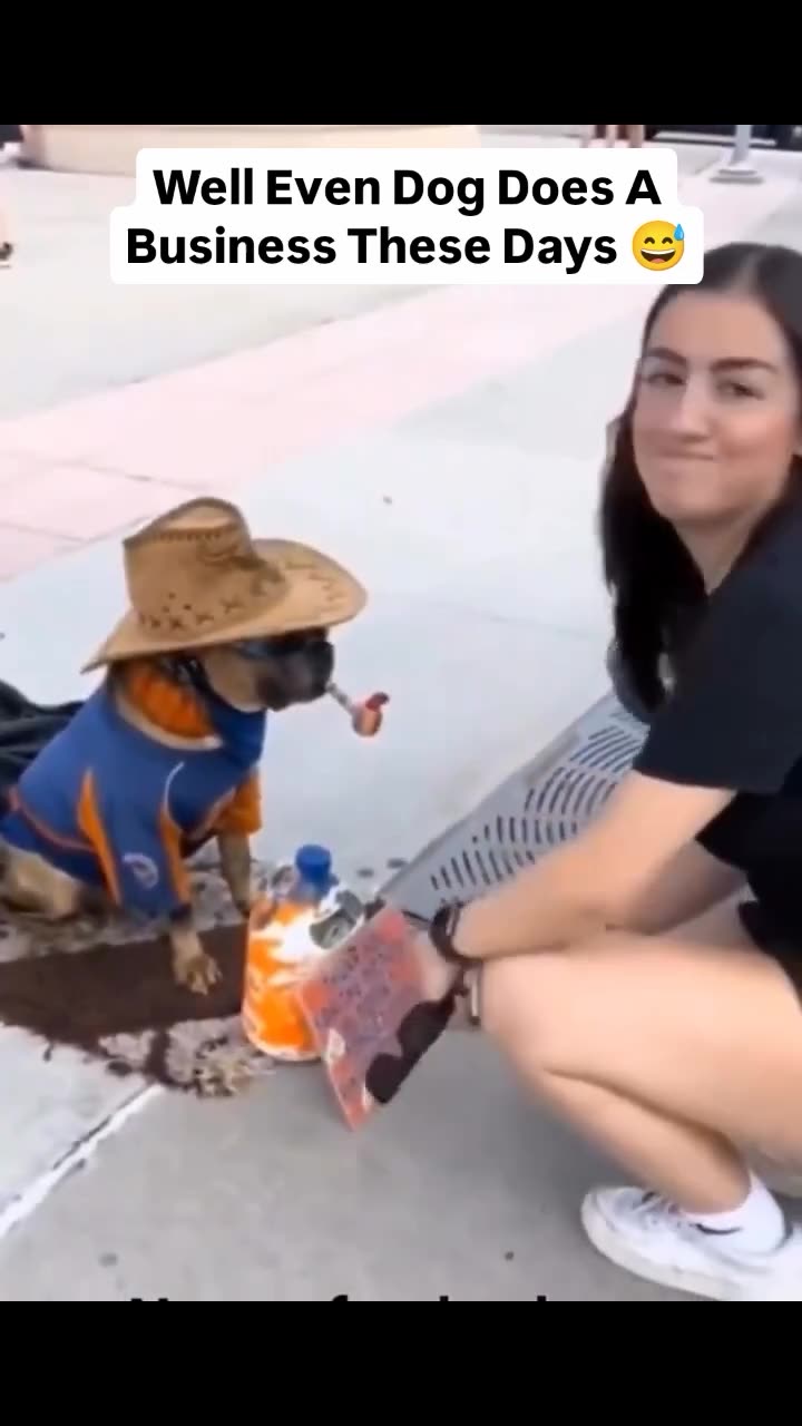 A dog that wont shake your hand until you give him money