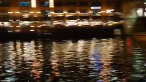 fatty demon pig - 2025 - YT - USA - November 8th or November 7th in USA part 005