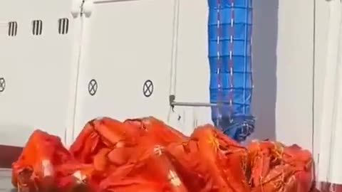 😮🚢 Inside a Real Cruise Ship Emergency Evacuation Drill! | FeedMyCuriosity