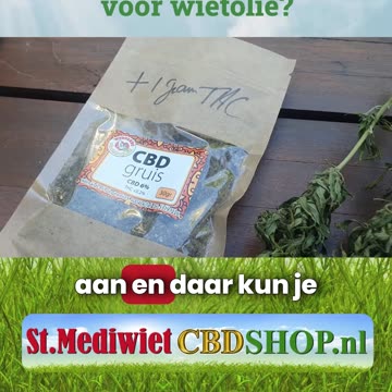 Welk soort wiet voor wietolie?