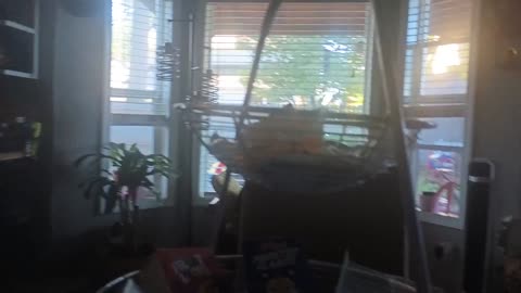 Little Bill Tries to Give Stella a Punishment Day and Gets Grounded