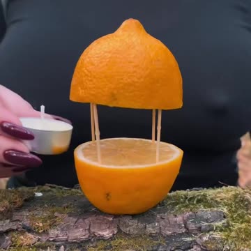 What is the point of the photo?