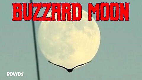 Turkey Vultures (The BUZZARDS Are Back!) Harvest Moon