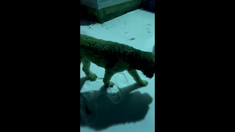 Snowmageddon ‘26 in Ohio