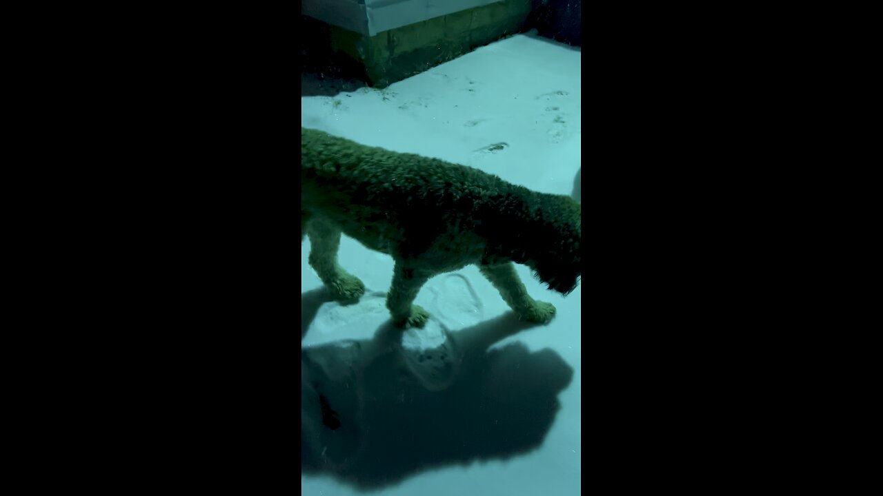 Snowmageddon ‘26 in Ohio