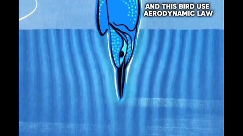 #HOW NATURE INSPIRED SCIENCE# #NATURE APPLICATIONS#