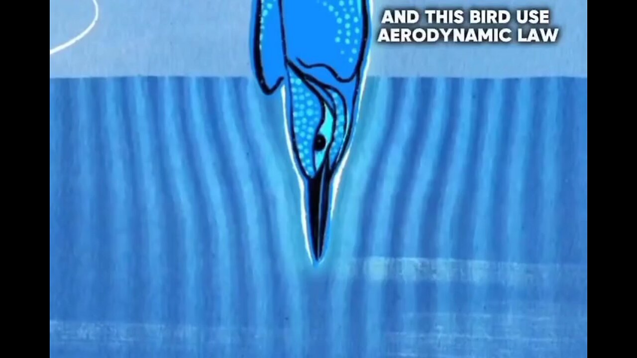 #HOW NATURE INSPIRED SCIENCE# #NATURE APPLICATIONS#