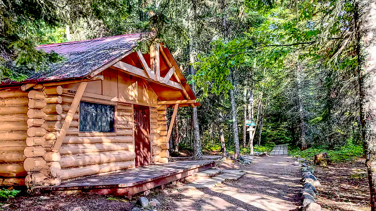 Cabin Life | Alone in 1940s Cabins in the Wilderness