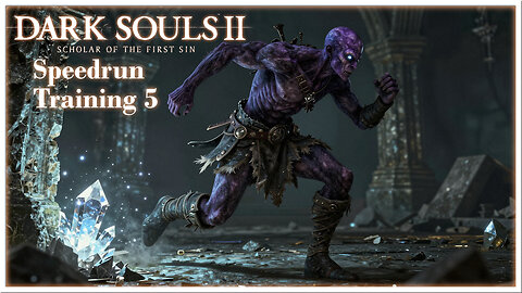 Dark Souls 2 SOTFS Glitchless Speedrun Training 5