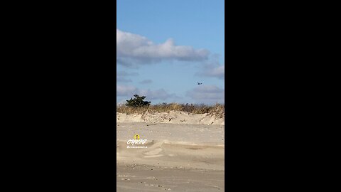 WHO KNOWS WHAT THIS IS?