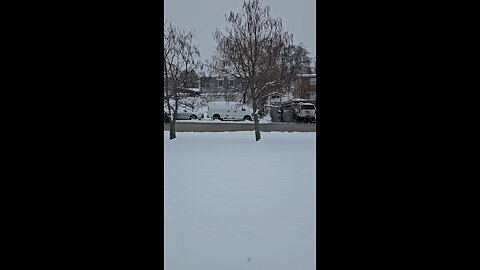 Indian Cigars Ready for Smoking