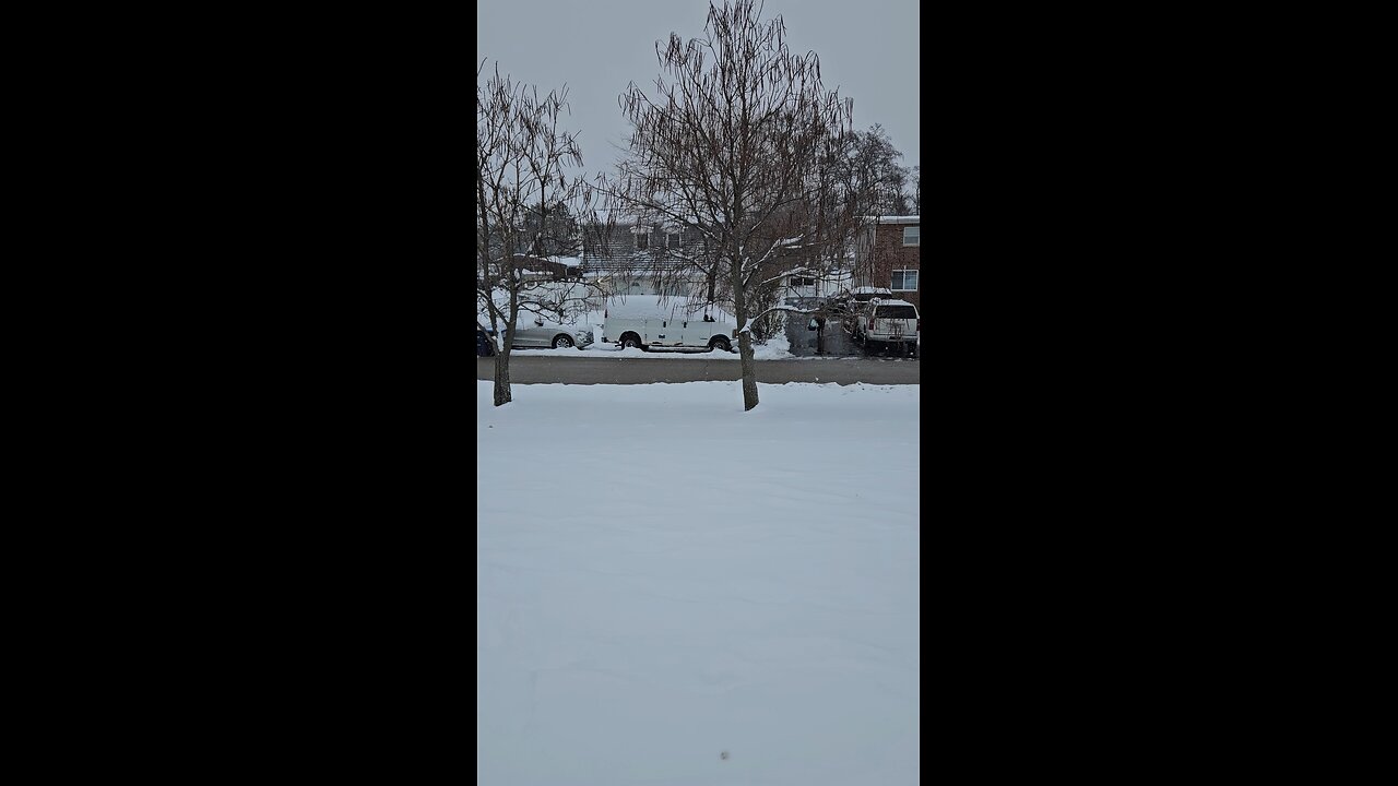 Indian Cigars Ready for Smoking