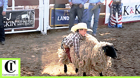 Mutton Bustin - 2024 White Deer Rodeo