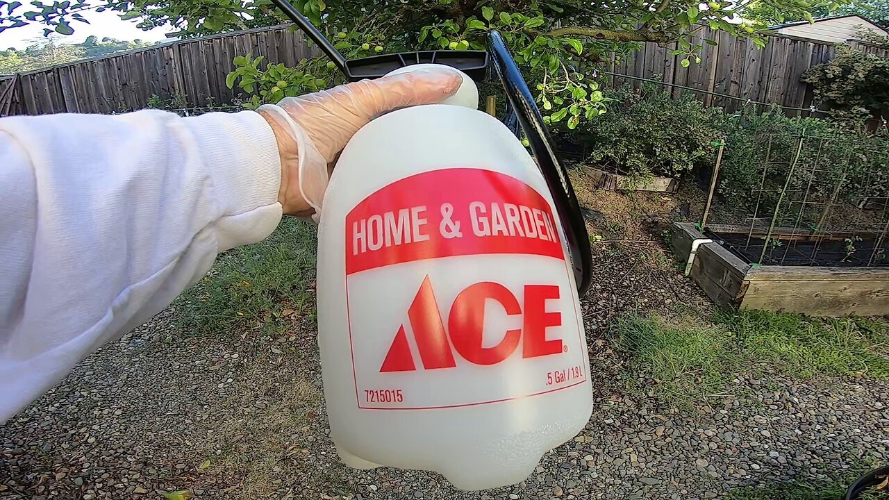 ACE Hardware 1/2 gal Sprayer Tank Sprayer Unboxing and Review