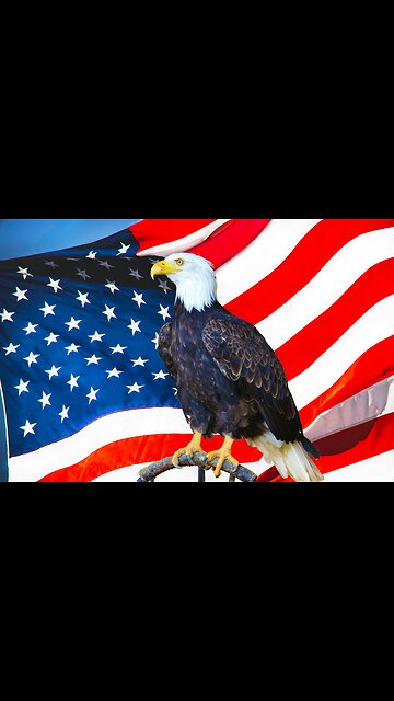 PROUD AMERICAN EAGLE