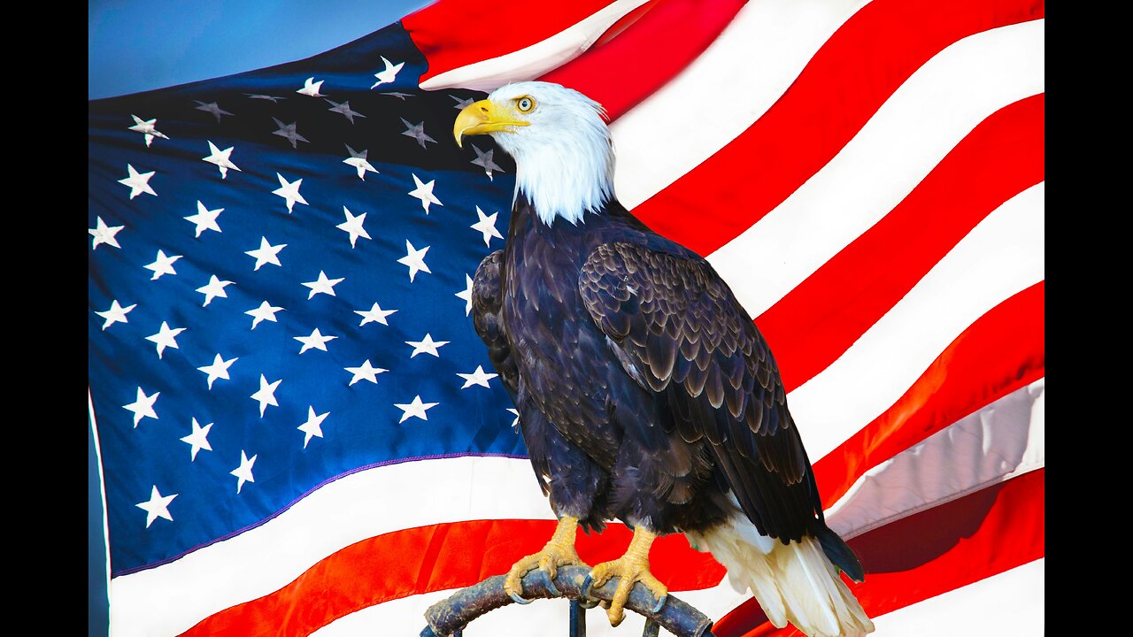 PROUD AMERICAN EAGLE