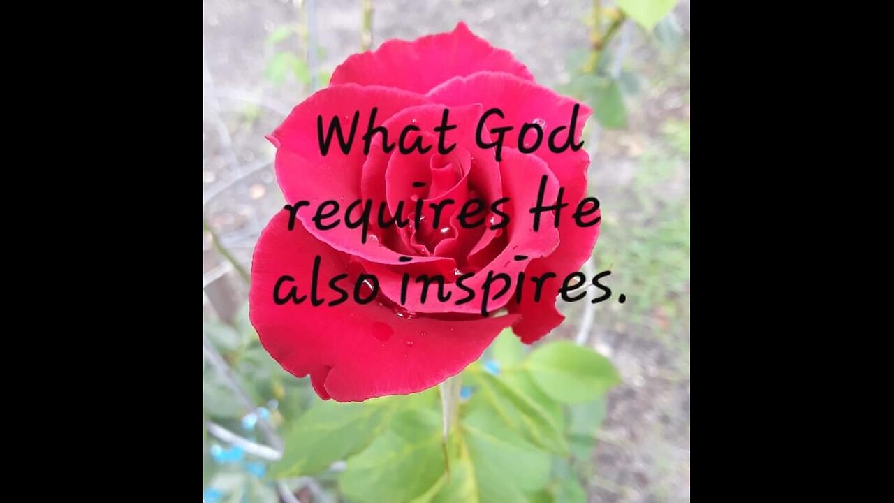 Psalm 62:1-2, 5-8