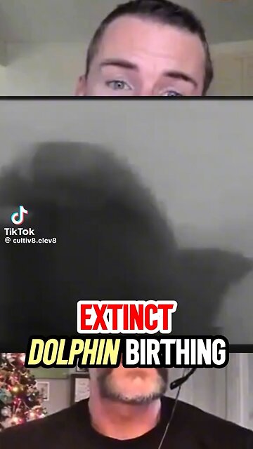 Dolphin 🐬 Birthing!