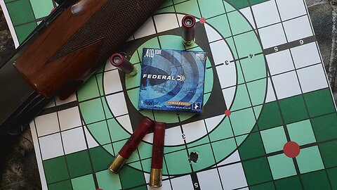 Federal Powershok, .410 bore rifled slugs in 2.5" shells for light skinned big game.