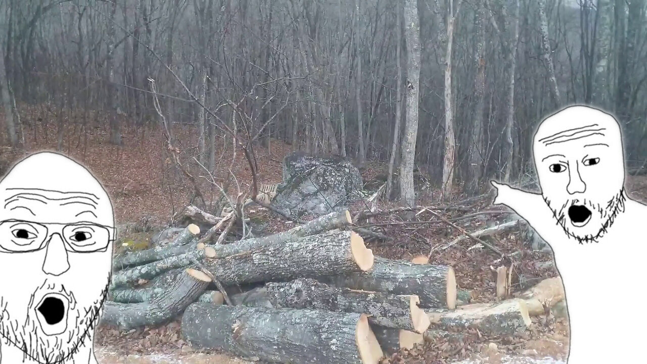 Let's Get This Train Wreck Back On Track