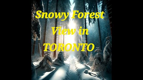 Toronto Forest and Snow: A Winter Wonderland