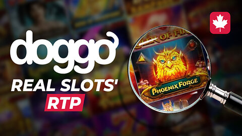 Real RTP and Doggo Casino's Review