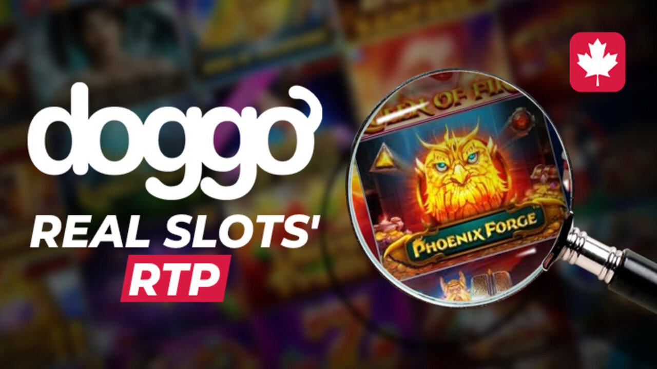 Real RTP and Doggo Casino's Review