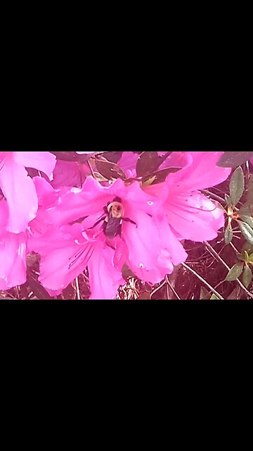 THE PRICE OF PRAYERLESSNESS - DAILY DEVOTIONAL ❤️