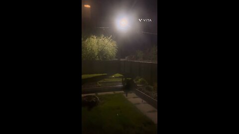 你想出去吗??!?