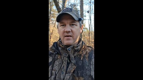 Do whitetail deer sleep? Short