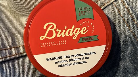 Bridge Spearmint Nicotine Pouches Review