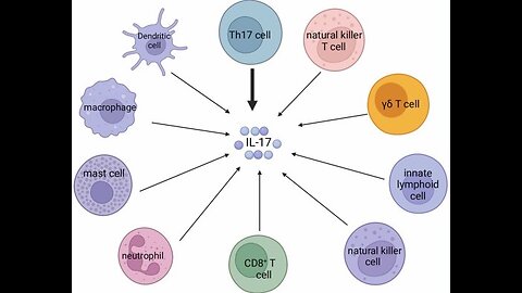 Critical Would-be Kavanaugh Killer Development