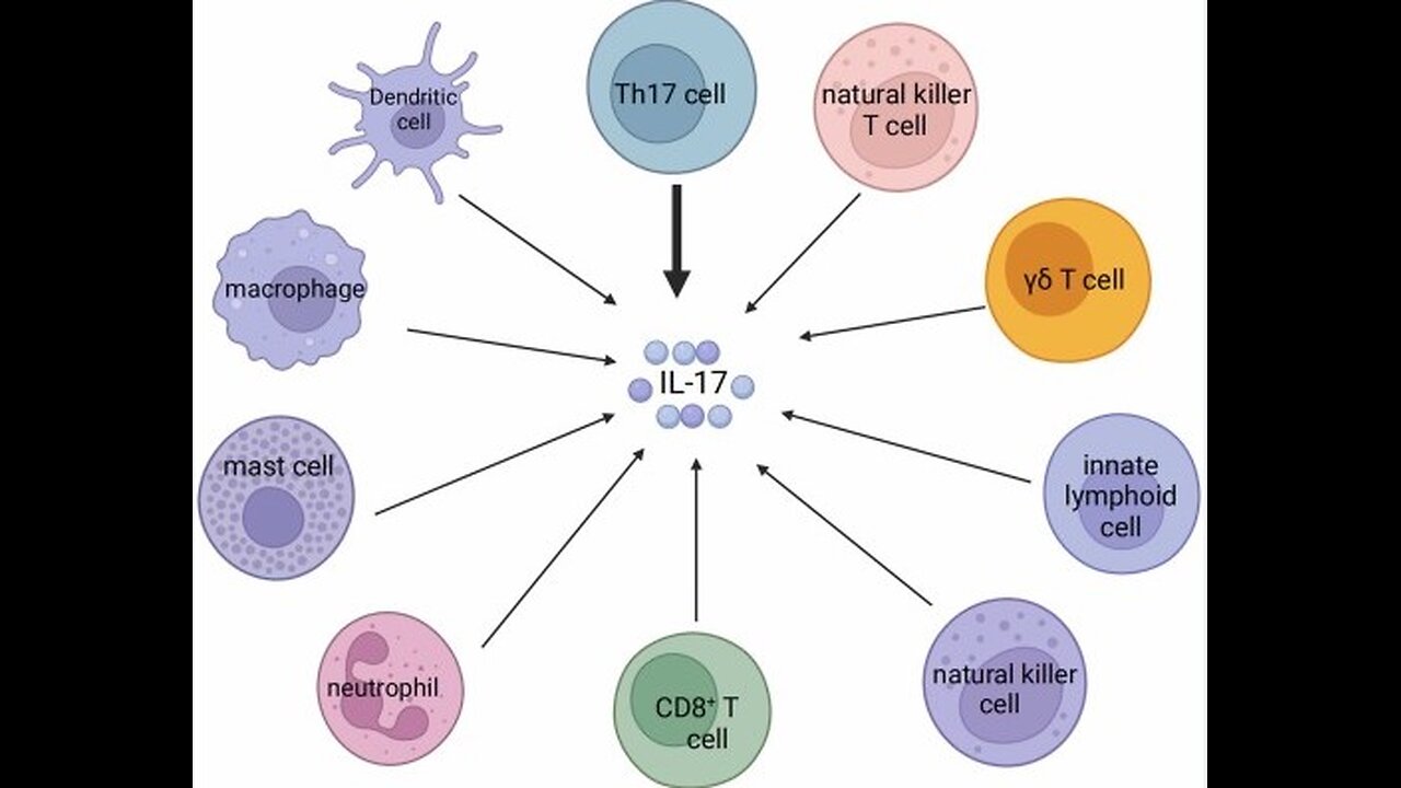 Critical Would-be Kavanaugh Killer Development
