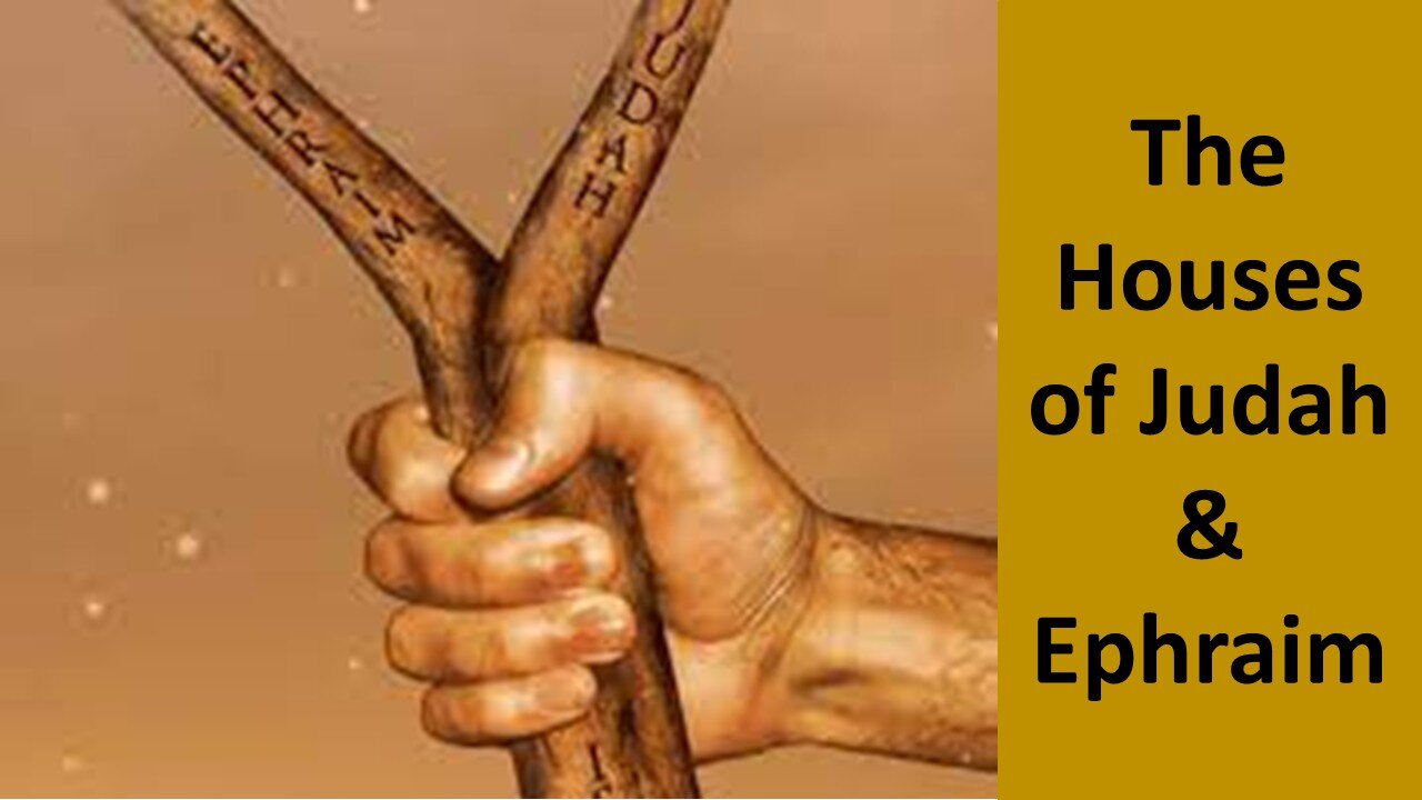 The Houses of Judah AND Israel Prophecy Roundtable