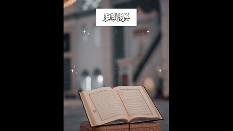 Follow if you love Allah / Surah Al Baqarah Ayat 99 #peace #spirituality #islamicvibes #duas #islam