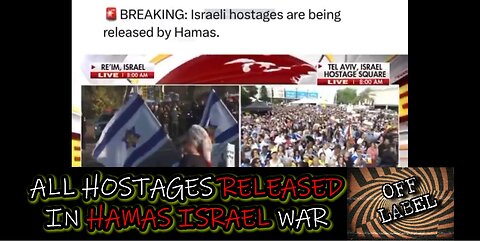 Hamas Released Israeli Hostages In Ceasefire Deal
