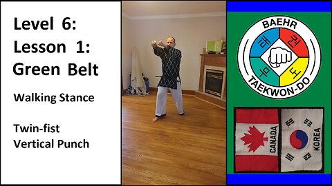 Baehr Taekwondo: 06-01: Blue Stripe: Walking Stance - Twin-fist Vertical Punch