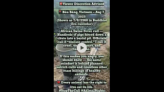 🚨 WARNING: Disturbing Reality of Animal Culling 🚨