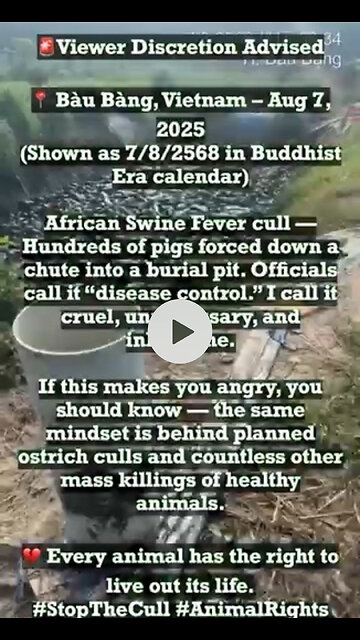 🚨 WARNING: Disturbing Reality of Animal Culling 🚨
