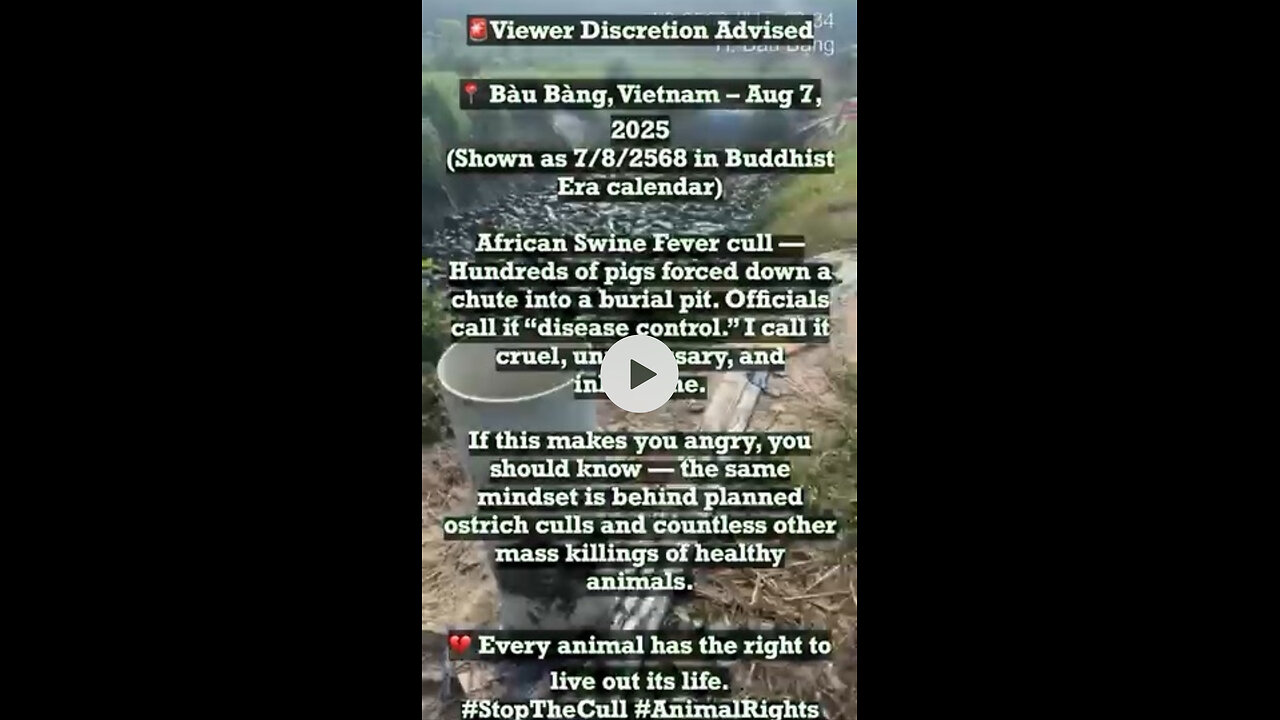 🚨 WARNING: Disturbing Reality of Animal Culling 🚨