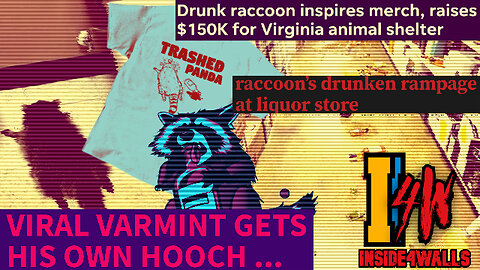 Story Of DRUNKEN RACCOON and funny aftermath Of Varmint Chaos!! Animal Recues And New Booze !!!