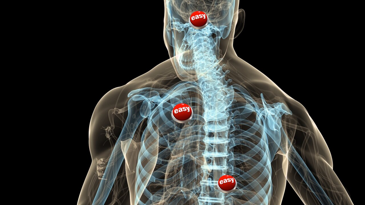 Reset Your Nervous System / Vagus Nerve