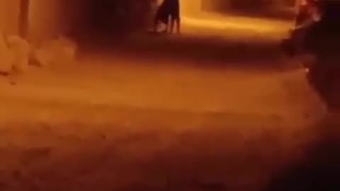 😨👻 What is That? Ghostly Toksa | TheHauntingHour