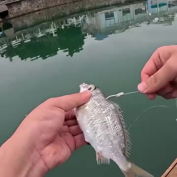 Great Device for Fishing