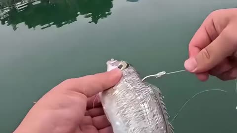 Great Device for Fishing