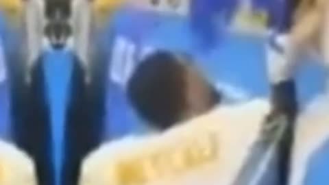 Lions Fan Won't Be Banned, Metcalf Suspended