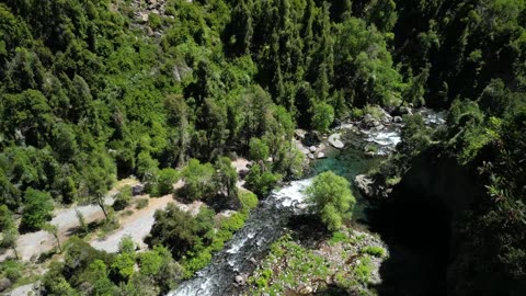 Serene Steps – Relaxing Walk Lofi