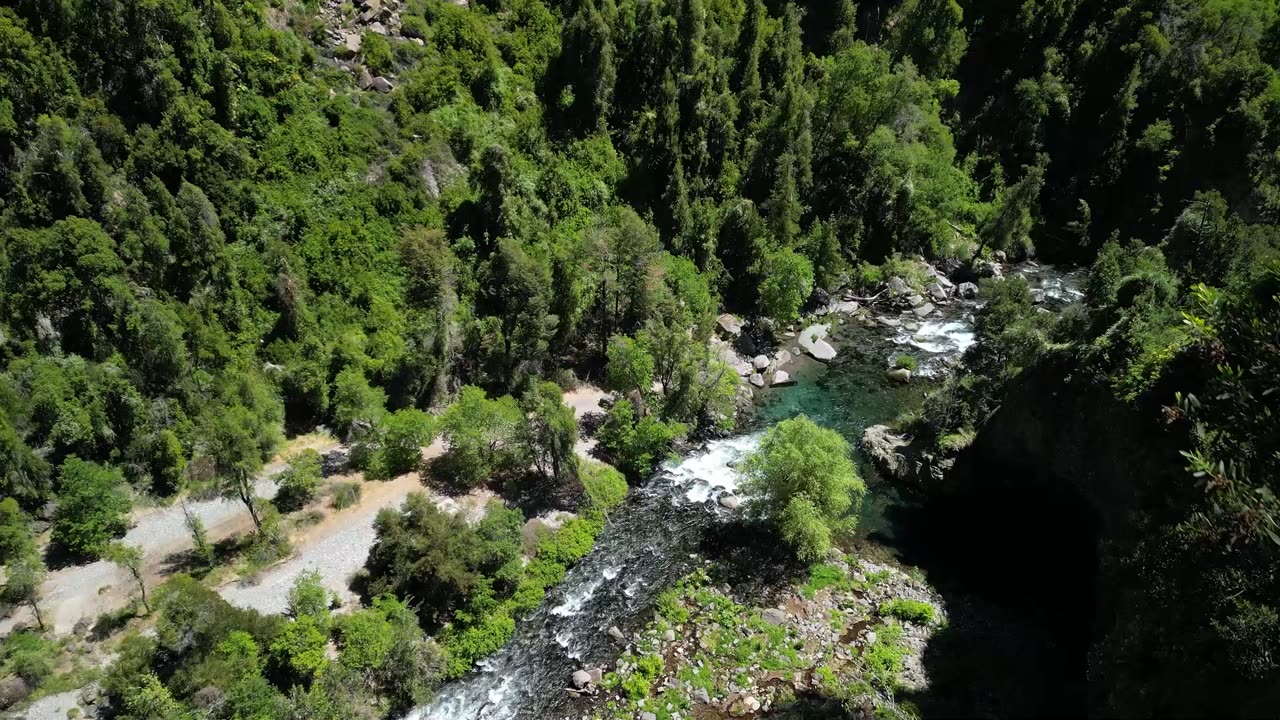 Serene Steps – Relaxing Walk Lofi