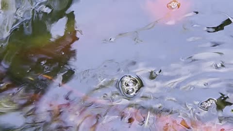 Healing _ Water therapy and Regulation of my Nervous System